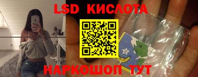 ГАЛЛЮЦИНОГЕННЫЕ ГРИБЫ Тара