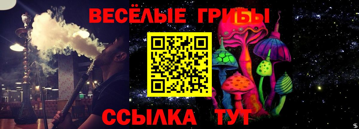 Отрадное  Псилоцибиновые грибы мухоморы  цены наркотик  Вход с VPN 