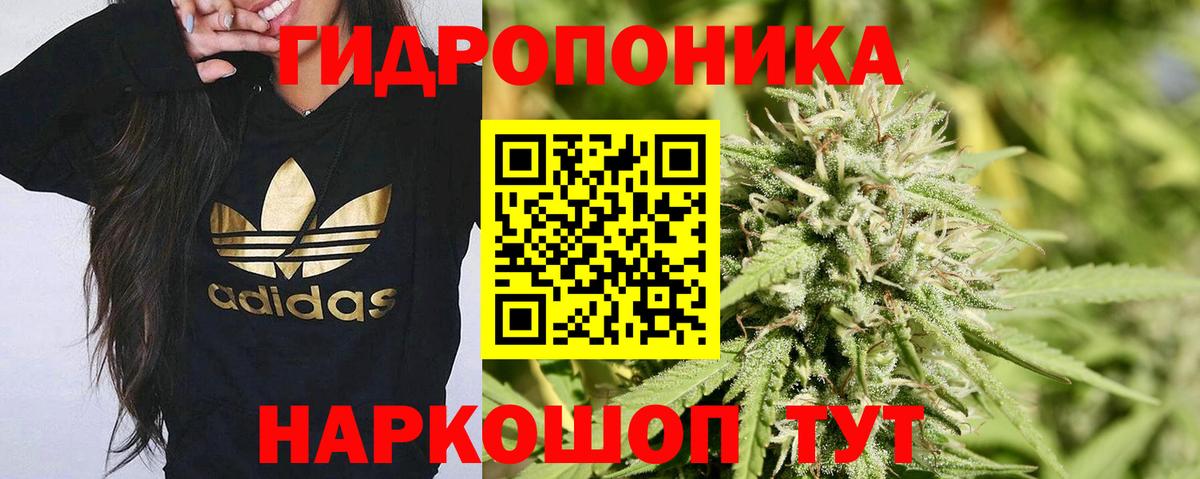 Конопля ГИДРОПОН Отрадное